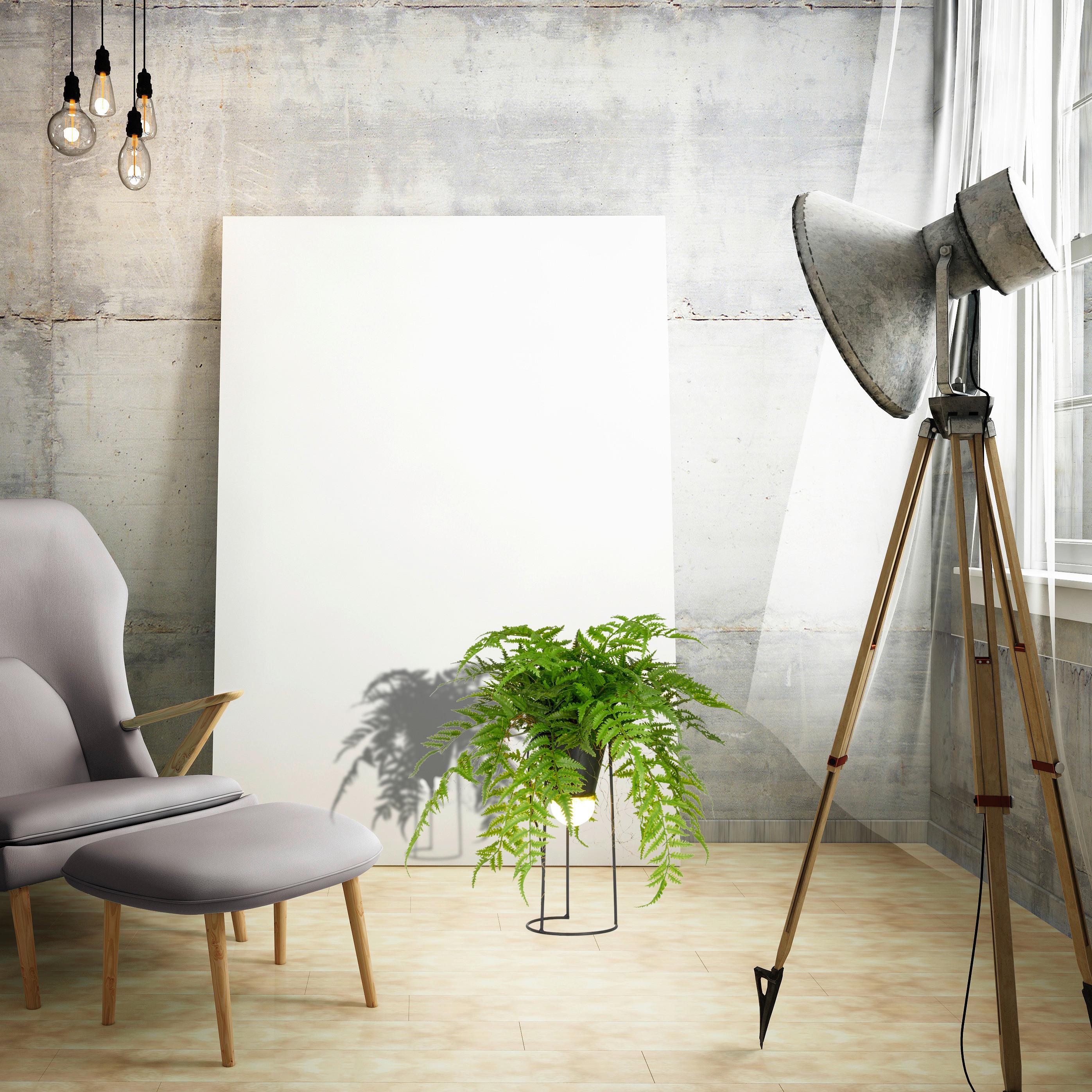 Kunstpflanze Farnmix Grün ca. 60cm - Schwarz/Grün, Basics, Kunststoff/Metall (60cm) - P & B