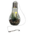 LED-Dekoleuchte Bettina verschiedene Designs - Glas/Kunststoff (9/9/18cm) LED-Dekoleuchte Bettina verschiedene Designs - Glas/Kunststoff (9/9/18cm)