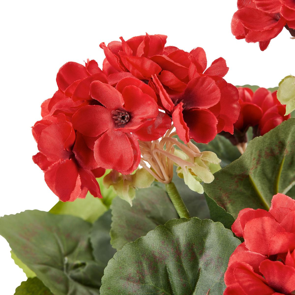 Umetna Rastlina Greta - Konvencionalno (20/34cm) - Mömax