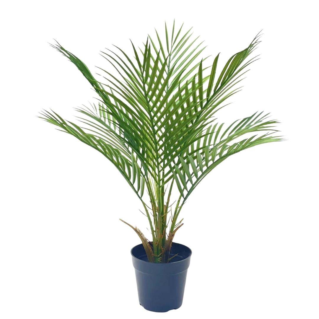 Műnövény Kwai Tree - fekete/rózsaszín, műanyag (65/65/60cm)