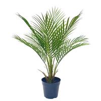 Műnövény Kwai Tree - fekete/rózsaszín, műanyag (65/65/60cm)