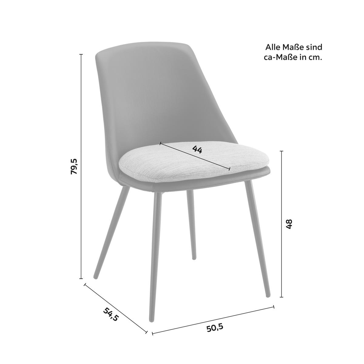 Stol Bianca, Črna, Siva, Usnje - temno siva/siva, Moderno, kovina/umetna masa (50,5/79,5/54,5cm) - Bessagi Home