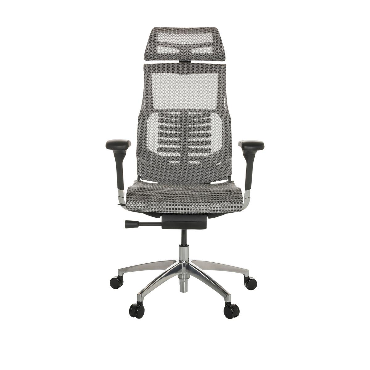 Pisarniški Stol Dynafit Ii, Svetlo Siva - srebrne barve/svetlo siva, Basics, kovina/umetna masa (67/119-135/60cm) - MID.YOU