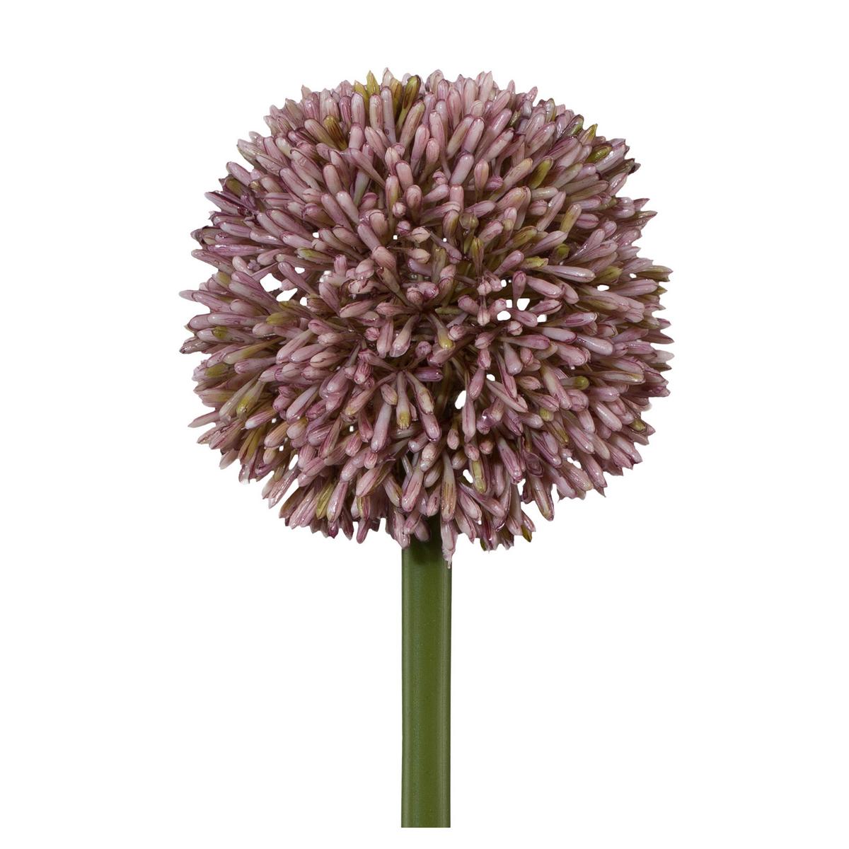 Allium II Flieder/Grün ca. 64cm - Flieder/Grün, Basics, Kunststoff/Metall (64cm)