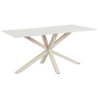 Jedilna Miza Vanda, Kašmir, 160x90 - kašmir, Moderno, kovina/steklo (160/90/75,5cm) - P & B