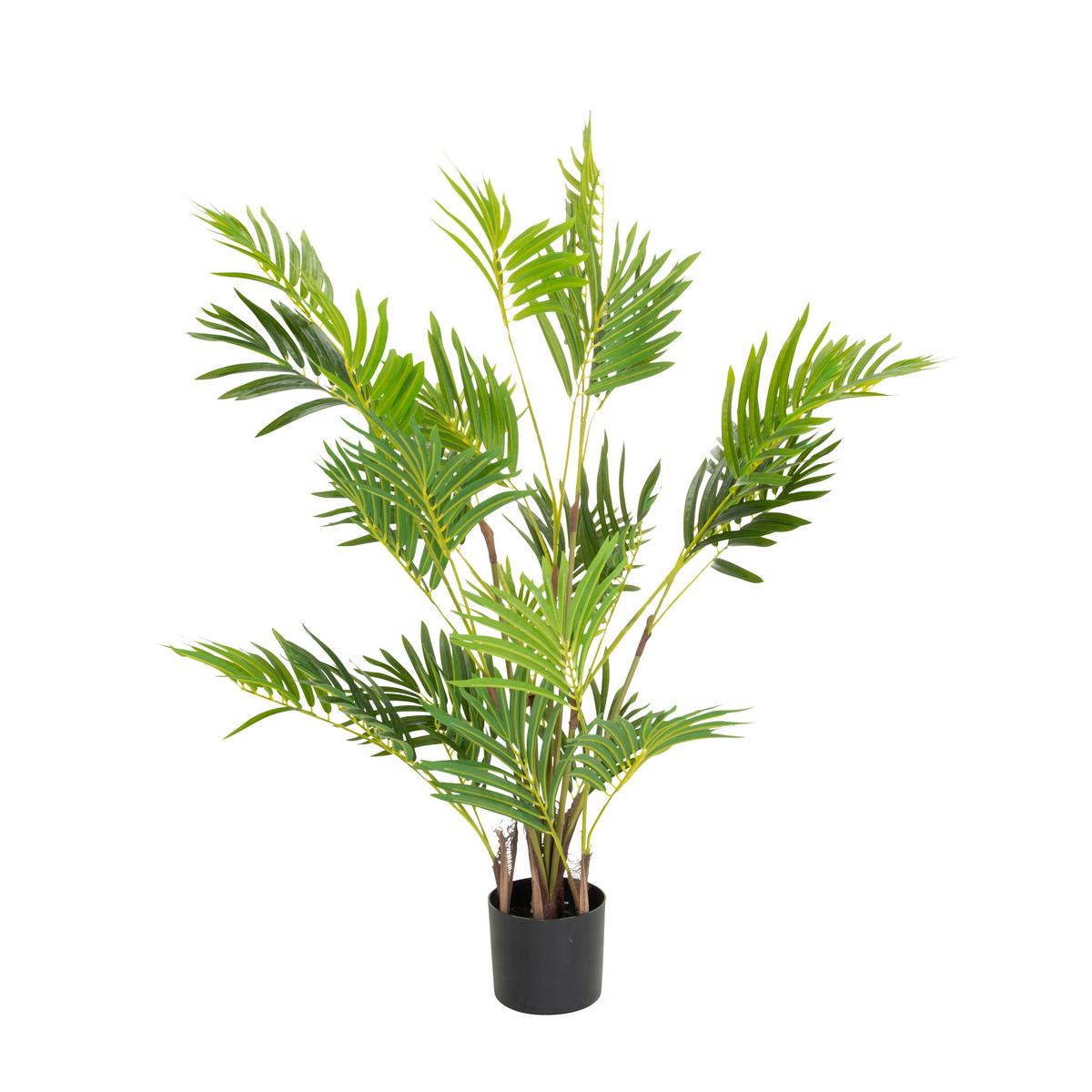 Umetna Rastlina Areca I - črna/zelena, Basics, umetna masa (70/120/70cm) - MID.YOU