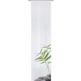 Panelna Zavesa Spa - siva/bela, Trendi, tekstil (60/245cm) - Mömax modern living Panelna Zavesa Spa - siva/bela, Trendi, tekstil (60/245cm) - Mömax modern living