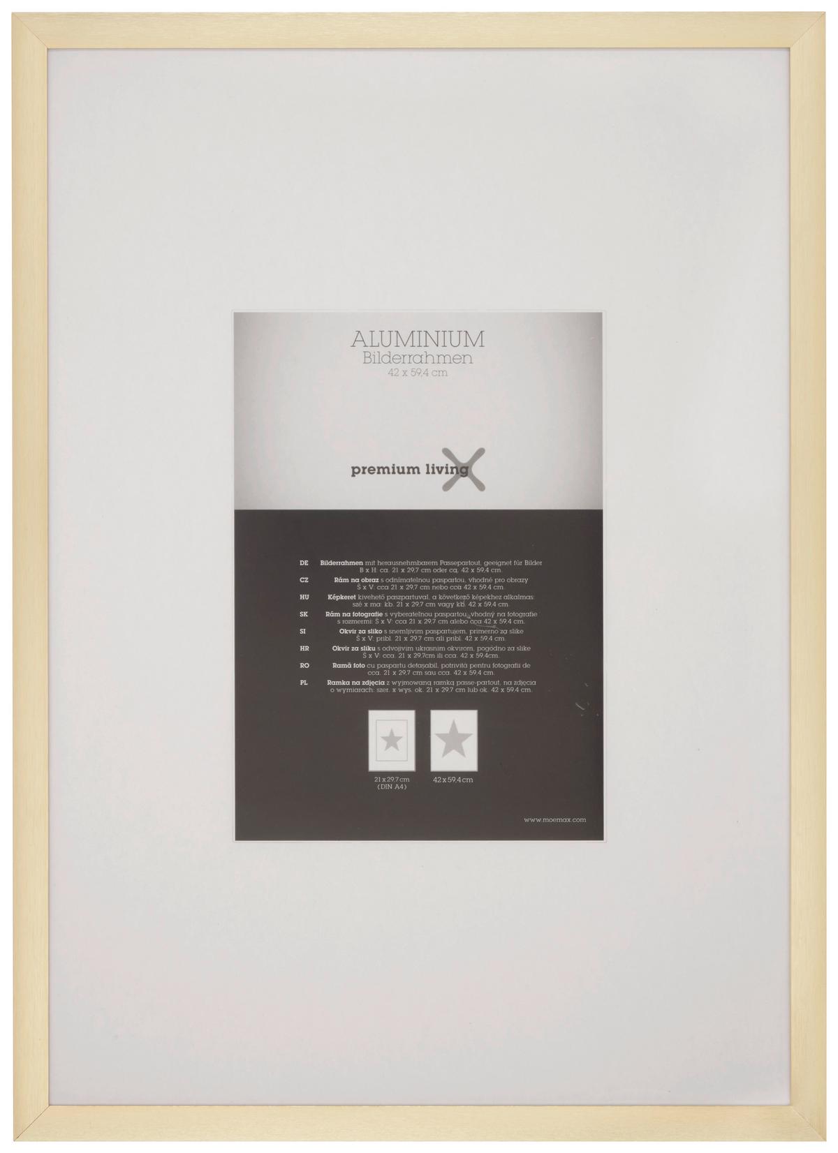 Képkeret Kb. 42x59,4cm Aluminium - sárgaréz/arany, Romantik / Landhaus, fém (45,1/62,5/2.2cm) - Premium Living