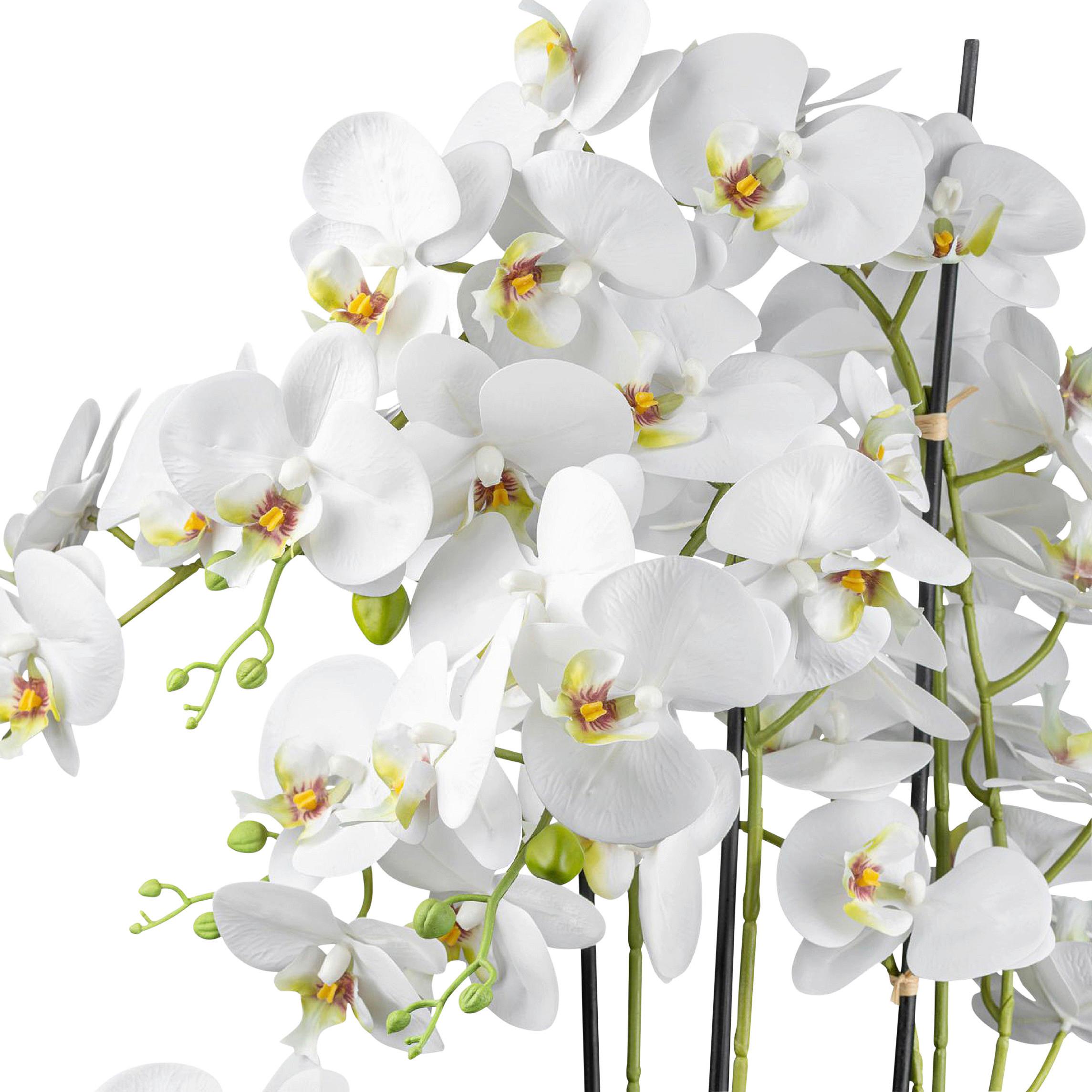 Kunstpflanze Orchideen Weiß/Grün - Weiß/Grün, Design, Keramik/Kunststoff (63cm) - P & B