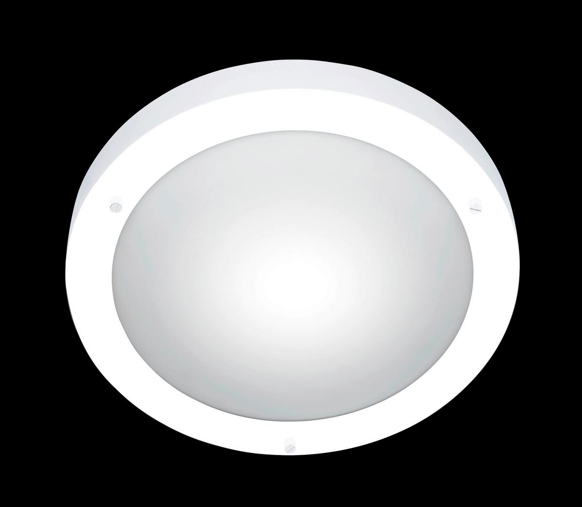 Badezimmer-Deckenleuchte Condus in Weiß max. 60 Watt - Weiß, Basics, Glas/Metall (31,5/8,0cm) - Trio Leuchten