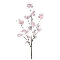 Dekor Gally Eva - barna/rózsaszín, Konventionell, műanyag (130cm) - Mömax