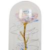 LED-DEKORATIONSLAMPA FLOWI - svart/transparent, Modern, plast (11/21cm) - Mömax
