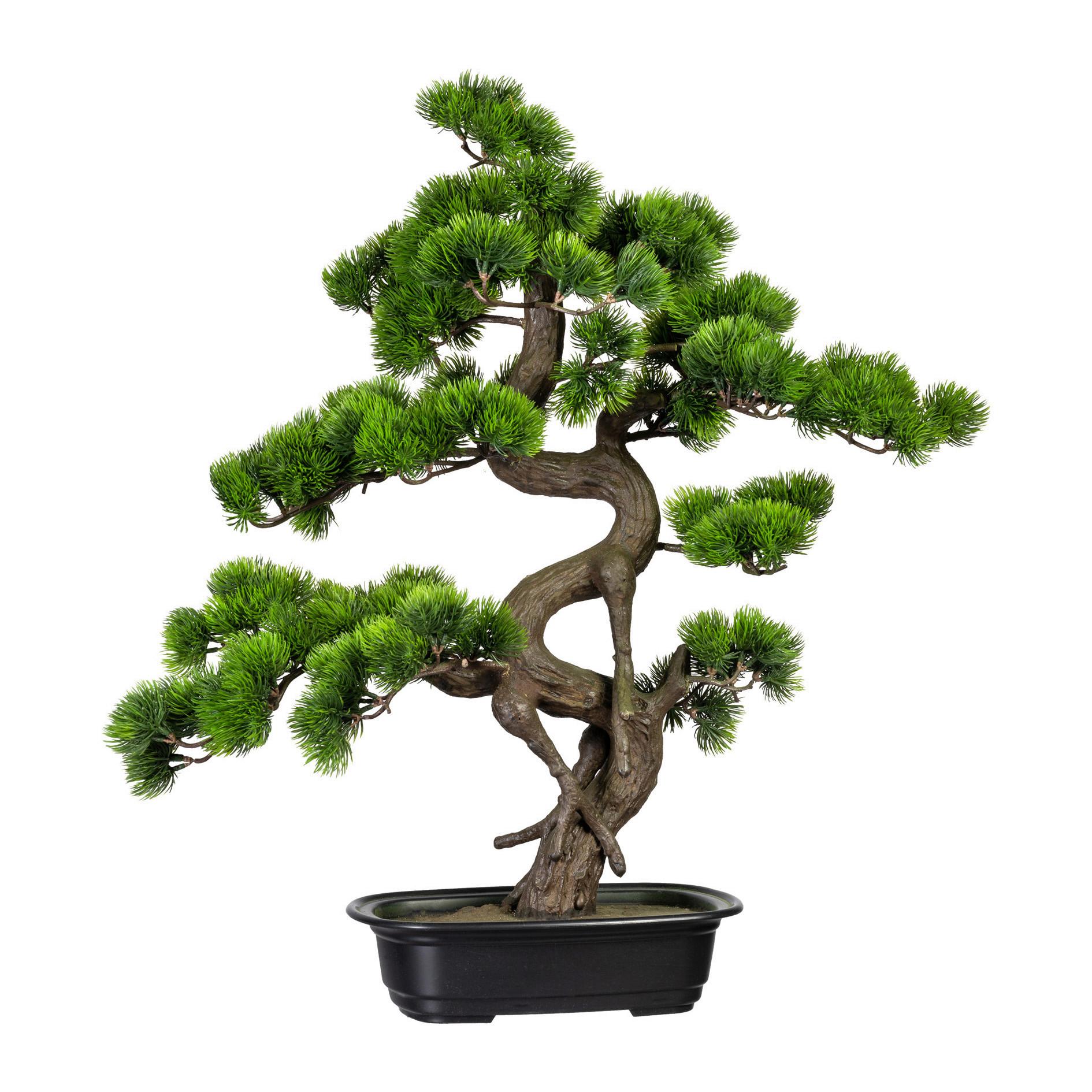Kunstpflanze Bonsai ca. 65cm - Schwarz/Braun, Basics, Kunststoff (50/65cm) - P & B
