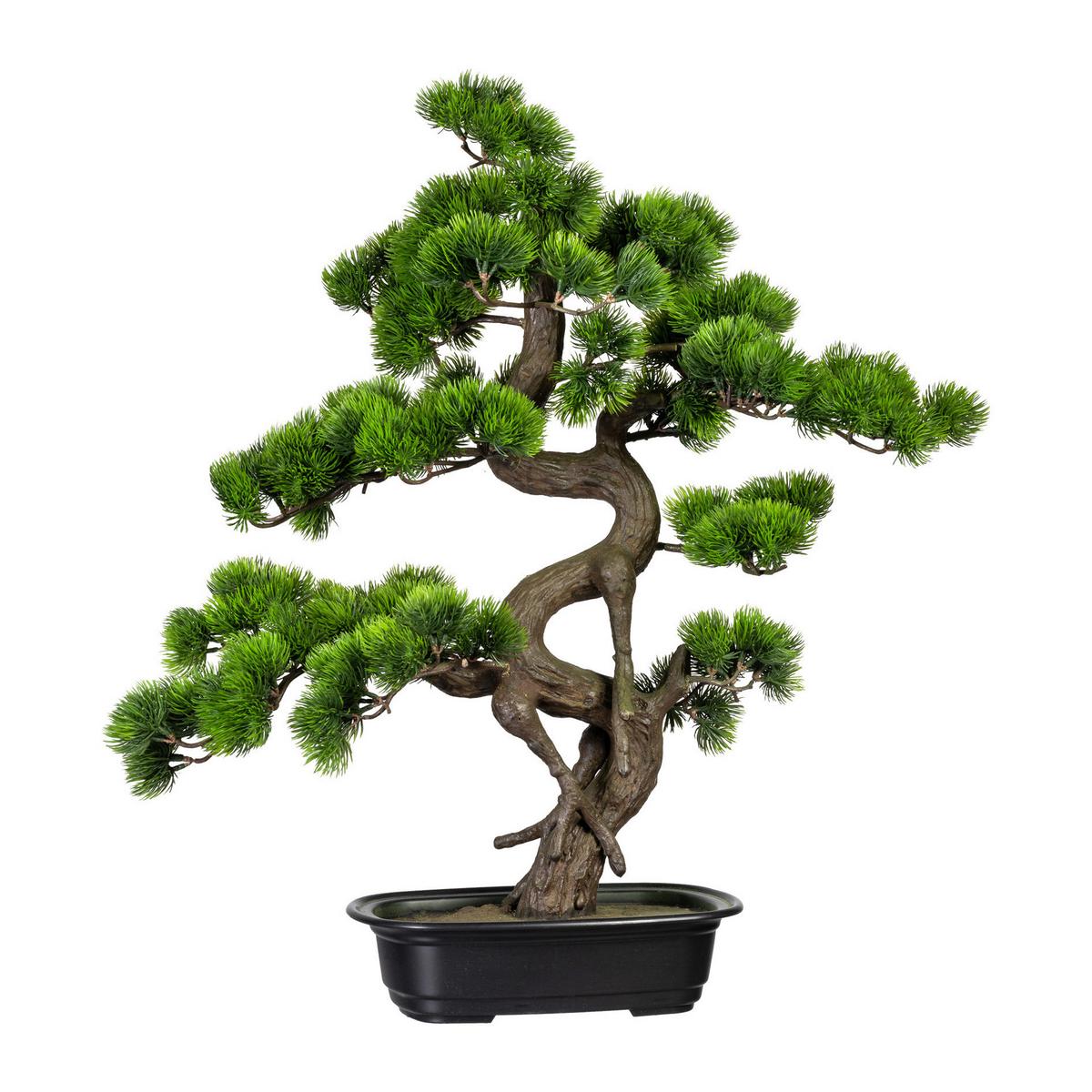Kunstpflanze Bonsai ca. 65cm - Schwarz/Braun, Basics, Kunststoff (50/65cm) - P & B