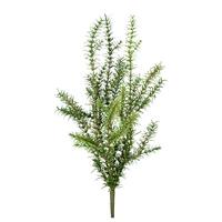Umetna Rastlina Rosmarin I - zelena, Konvencionalno, umetna masa (60cm) - Modern Living
