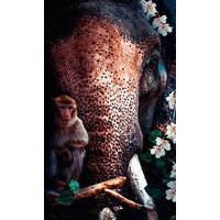 Bild Posterjunkie Multicolor ca. 70x118x10cm - Multicolor, Basics, Kunststoff/Metall (70/118/10cm) - Wandkraft