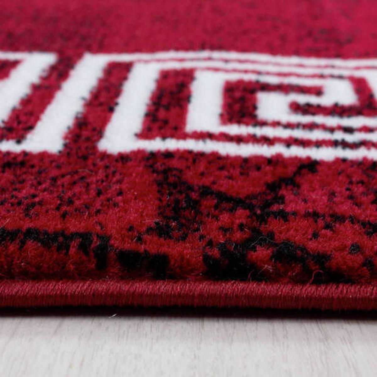 Webteppich Plus Rot ca. 280x370cm - Rot, Basics, Textil (280/370cm) - Novel