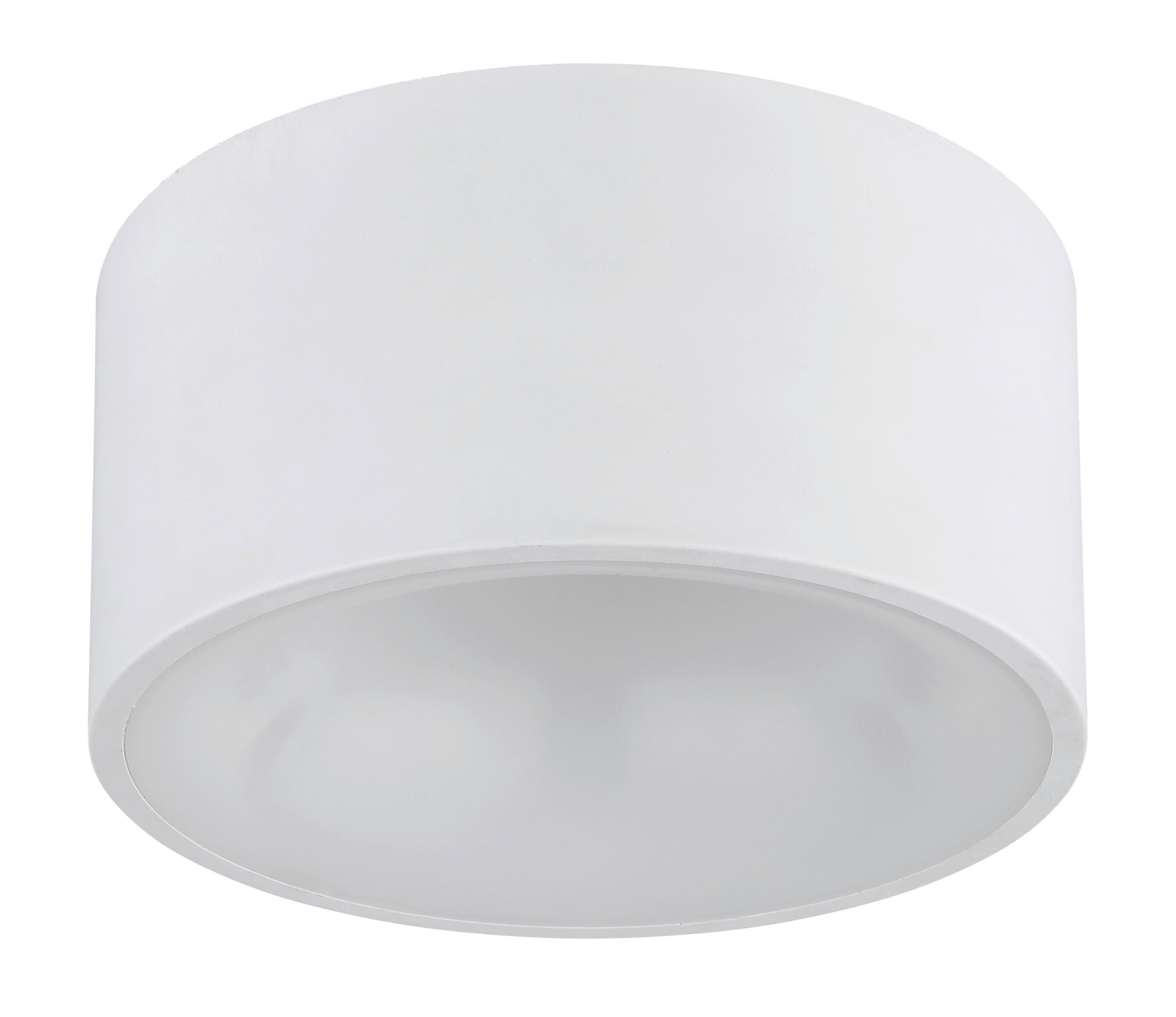 LAMPA SUFITOWA LED 56964W RAYMOND - biały/opal, Basics, tworzywo sztuczne/metal (15/7,5cm)