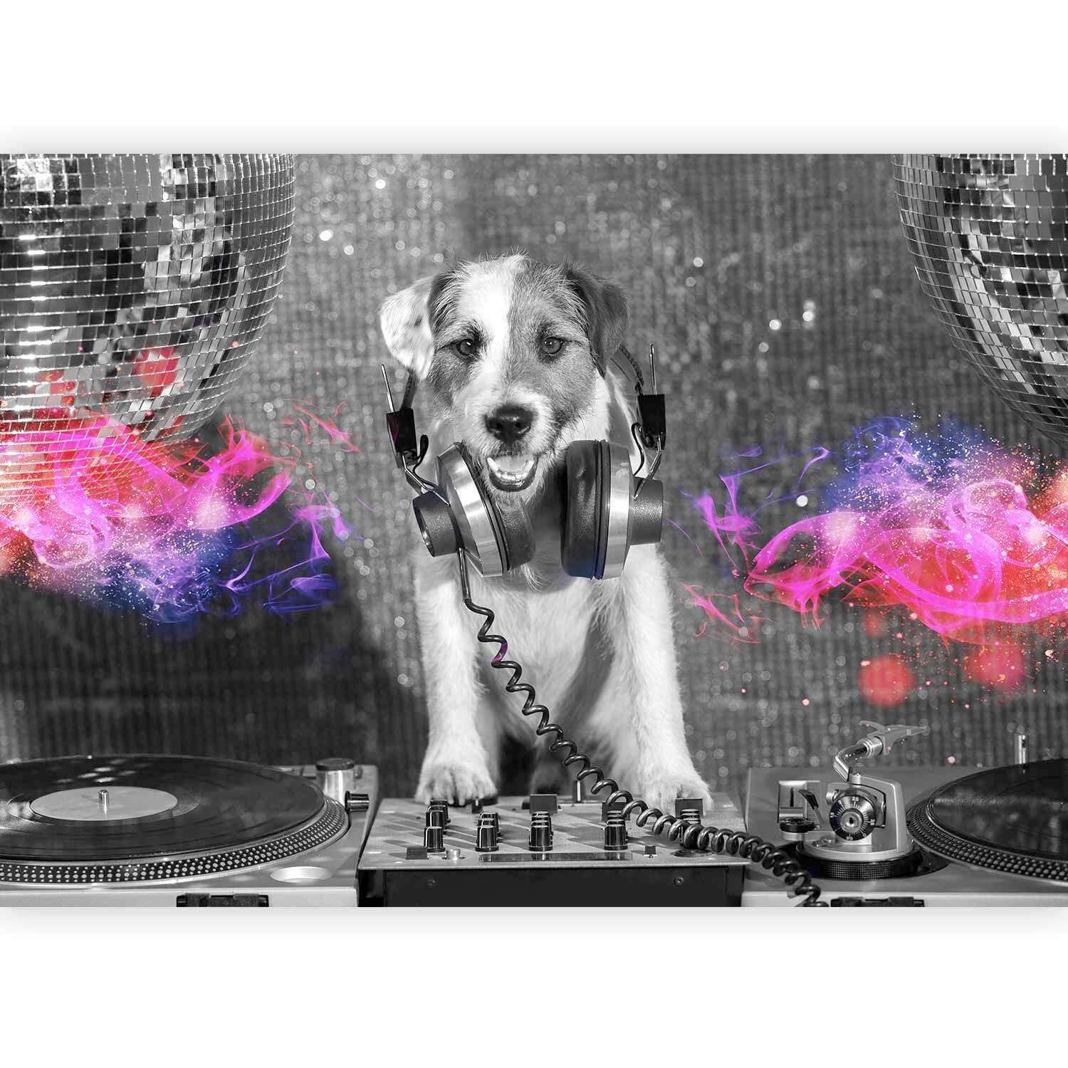 Fototapete DJ Dog Grau/Schwarz - Schwarz/Grau, LIFESTYLE, Textil (400/280cm) - artgeist