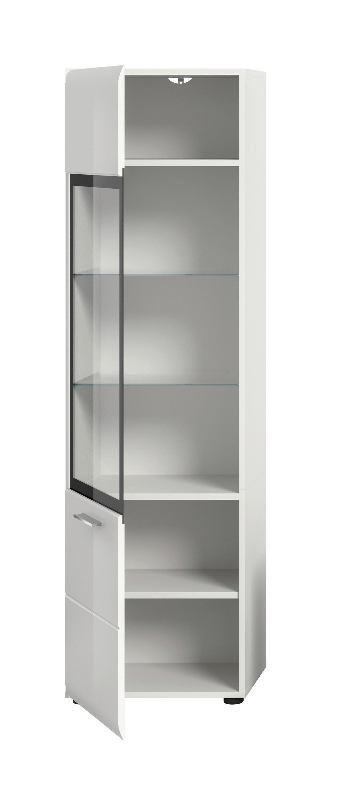 Vitrina Ice, Bela Visok Sijaj - srebrne barve/črna, Design, umetna masa/steklo (45/160/34cm) - Livetastic