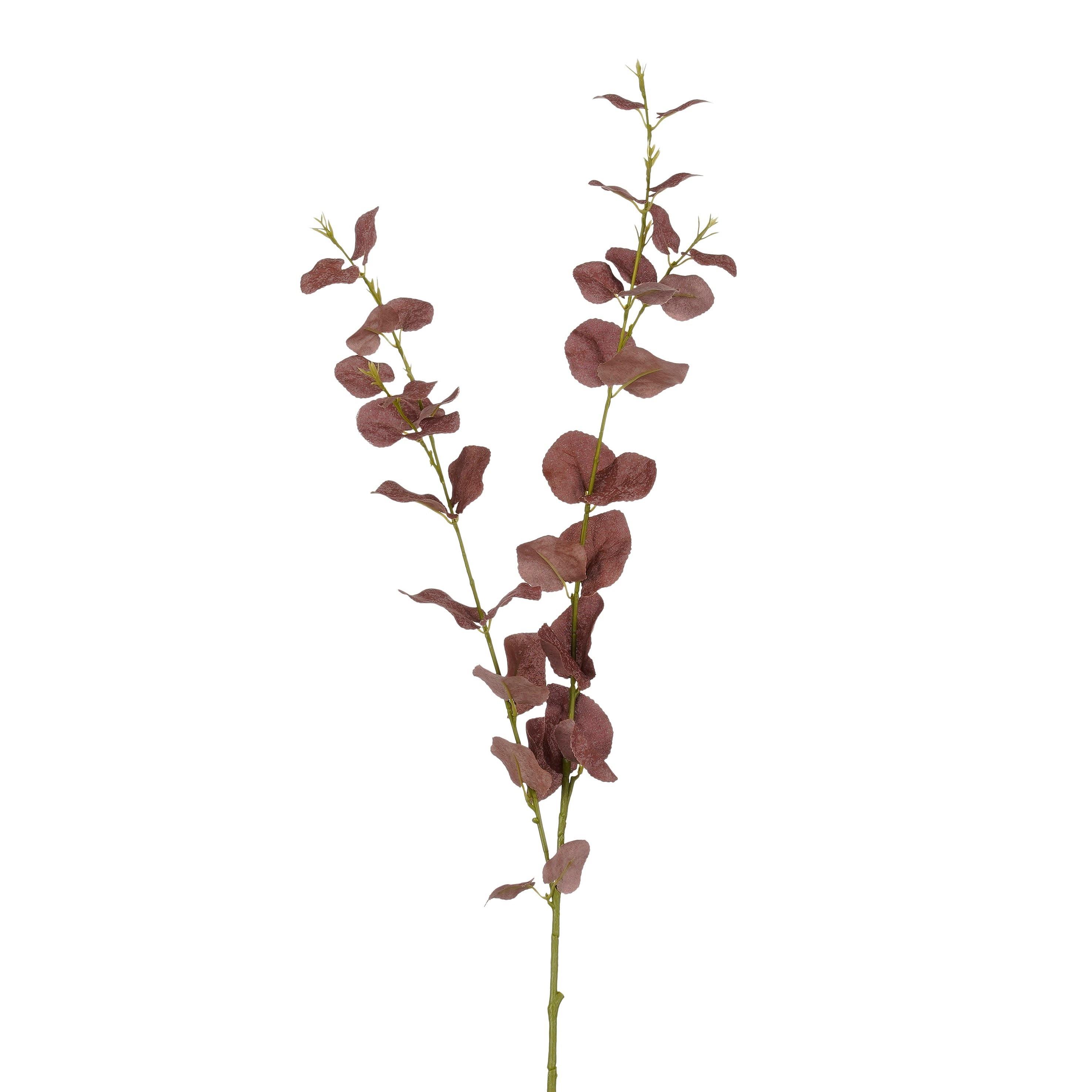 Umetna Roža Evkaliptova Veja - bordo, Moderno (94cm) - Mömax