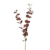 Umetna Roža Evkaliptova Veja - bordo, Moderno (94cm) - Mömax