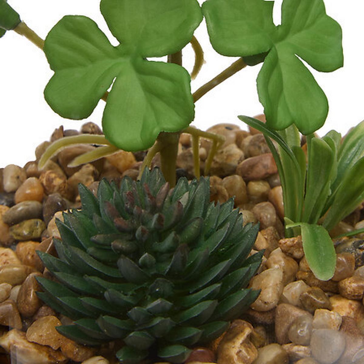 Plantă decorativă Terra, H: cca. 19 cm - Basics (11/10/19cm)