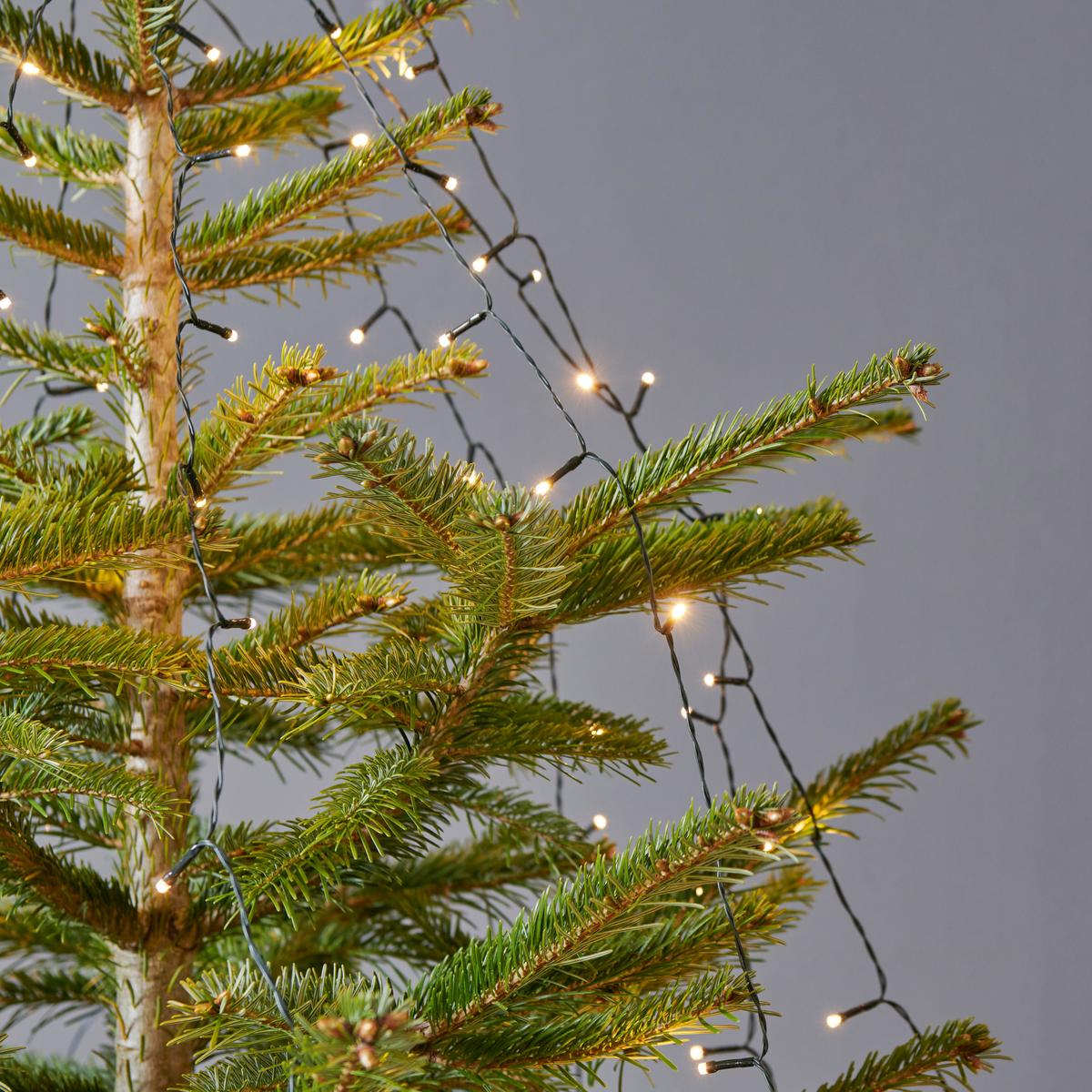 Fényfüzér Drübi - zöld, Modern (250cm) - Premium Living