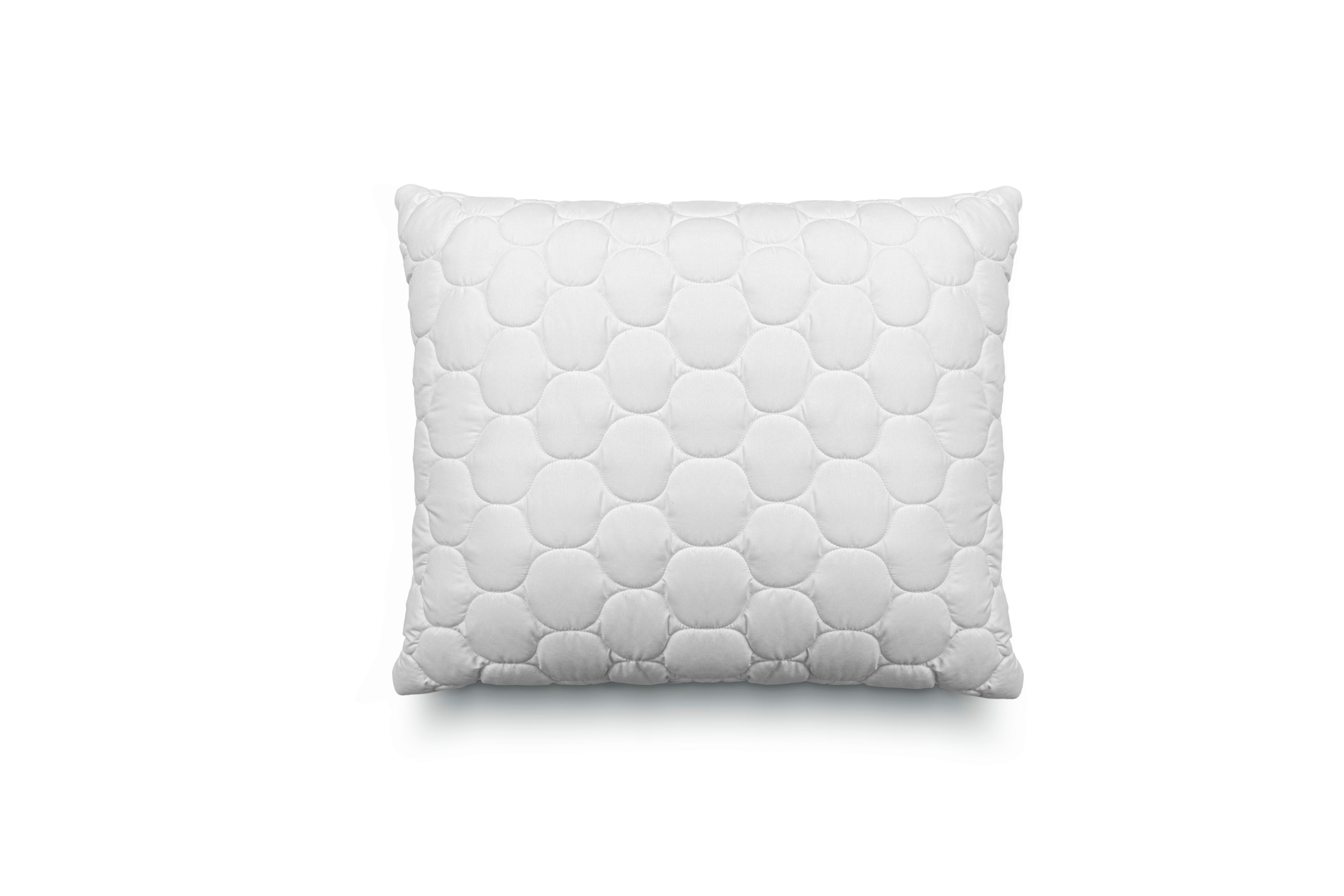 Prošiveni Jastuk 60x80cm Aloe Vera - bela, tekstil/plastika (60/80cm) - Nadana