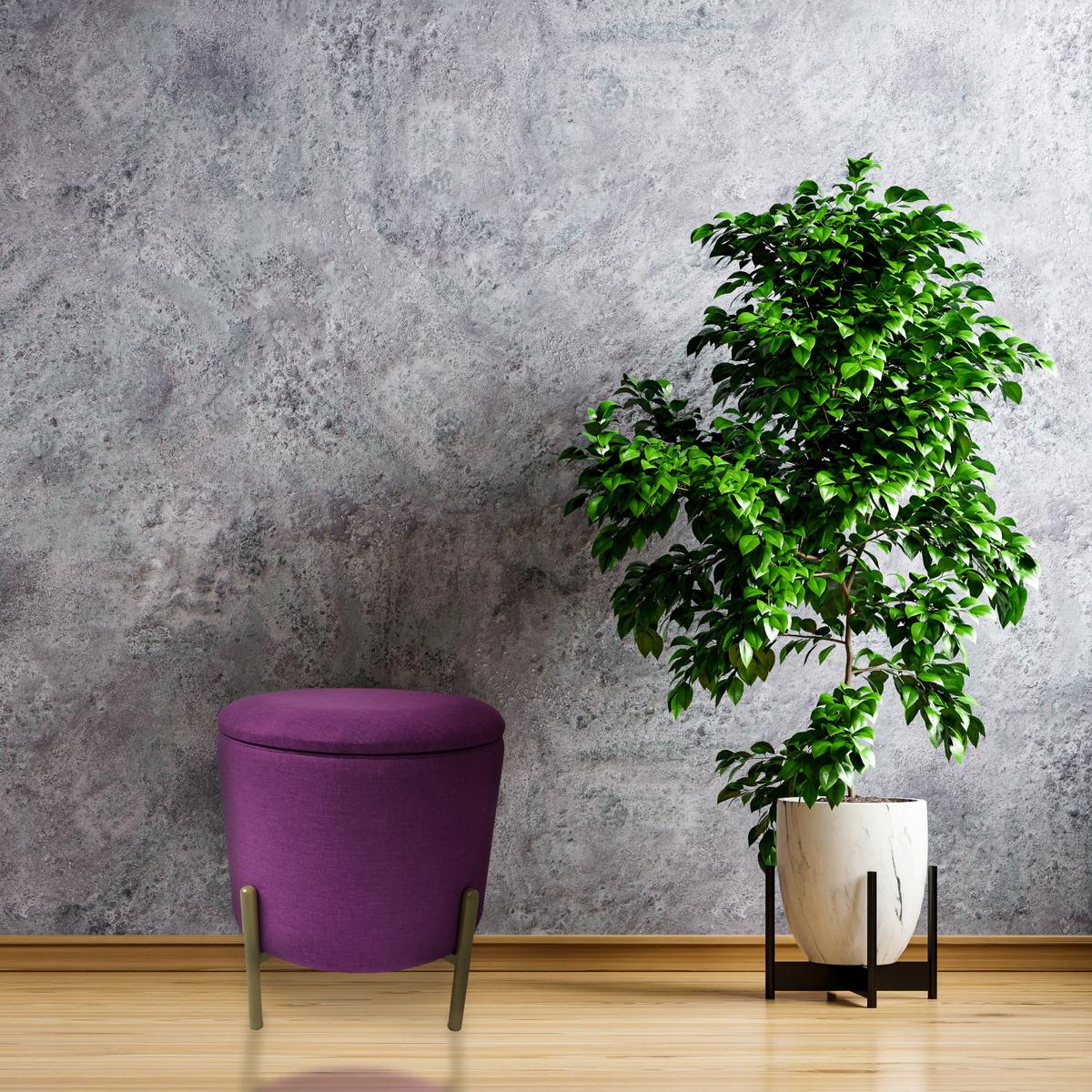 Hocker Logan Beere Samt mit Stauraum - Beere/Goldfarben, Design, Textil/Metall (36/40/36cm) - Echtwerk