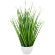 Šop Trave Iris - zelena, Romantika, umetna masa (79cm) Šop Trave Iris - zelena, Romantika, umetna masa (79cm)