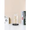 LED-DEKORATIONSLAMPA FLOWI - svart/transparent, Modern, plast (11/21cm) - Mömax