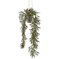 Umetna Rastlina Geweihfarn Ii - siva/olivno zelena , Konvencionalno, umetna masa (70cm) - Mömax