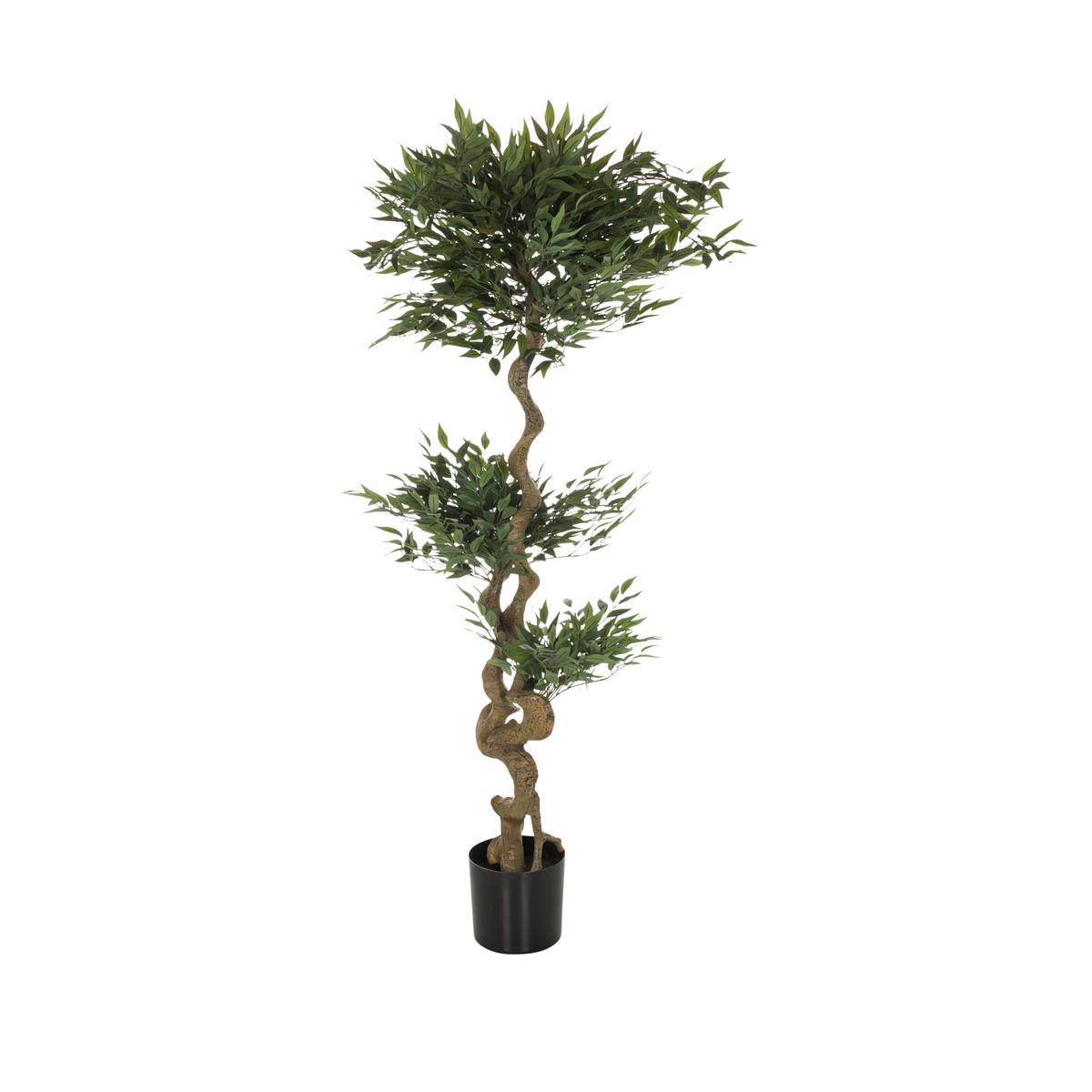 Umetna Rastlina Acacia - črna/zelena, Basics, umetna masa/tekstil (45/155/45cm) - MID.YOU