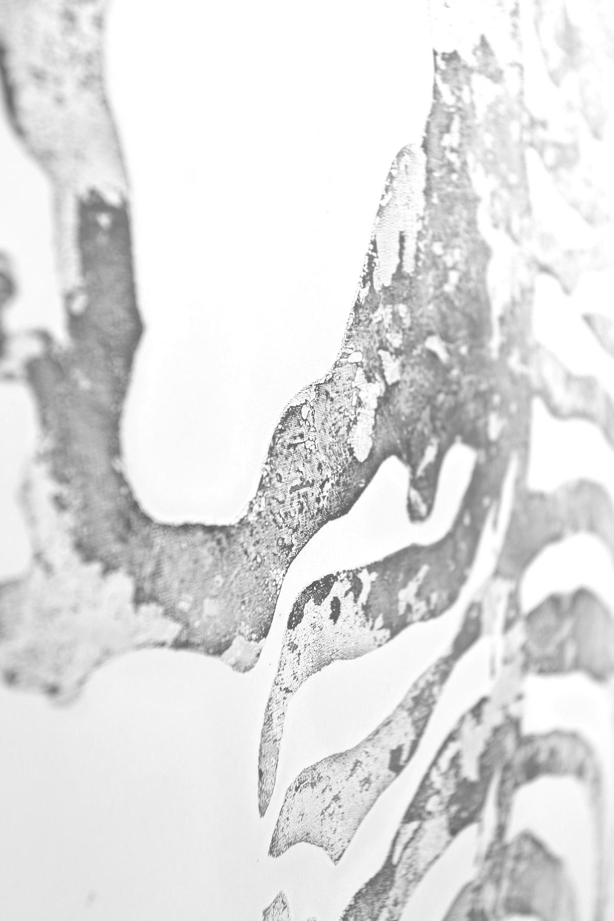 BILD SERENGETI - couleur argentée, Lifestyle, textile/bois (50/150/3,8cm) - Kayoom