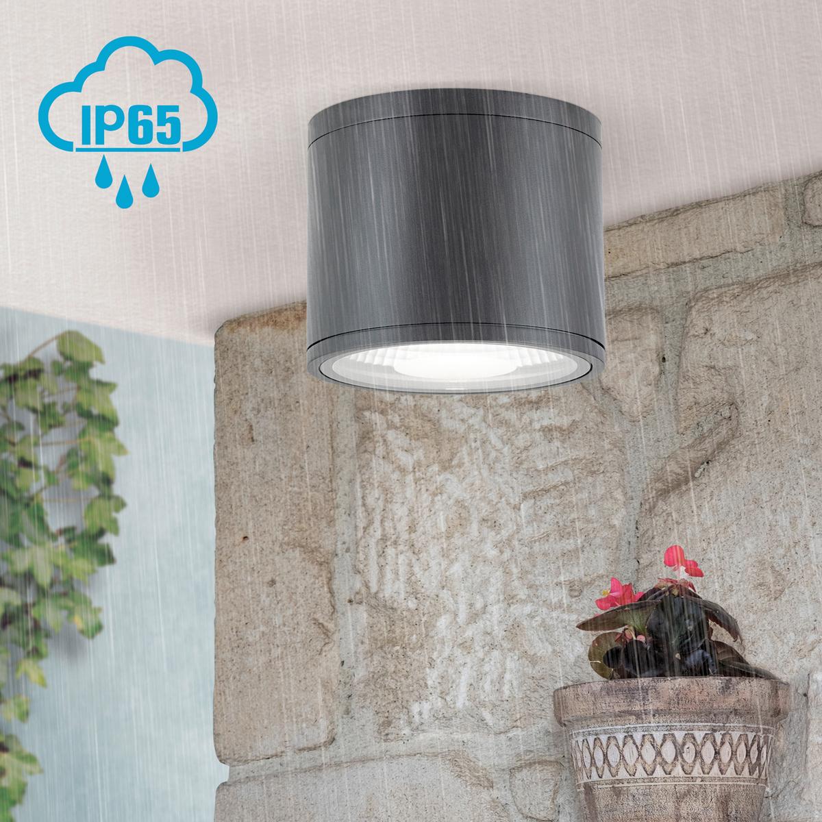 ŁAZIENKOWA LAMPA SUFITOWA LED DL 7-665 SPUTNIK - kolor złoty, Basics, metal/szkło (14,5/12cm)