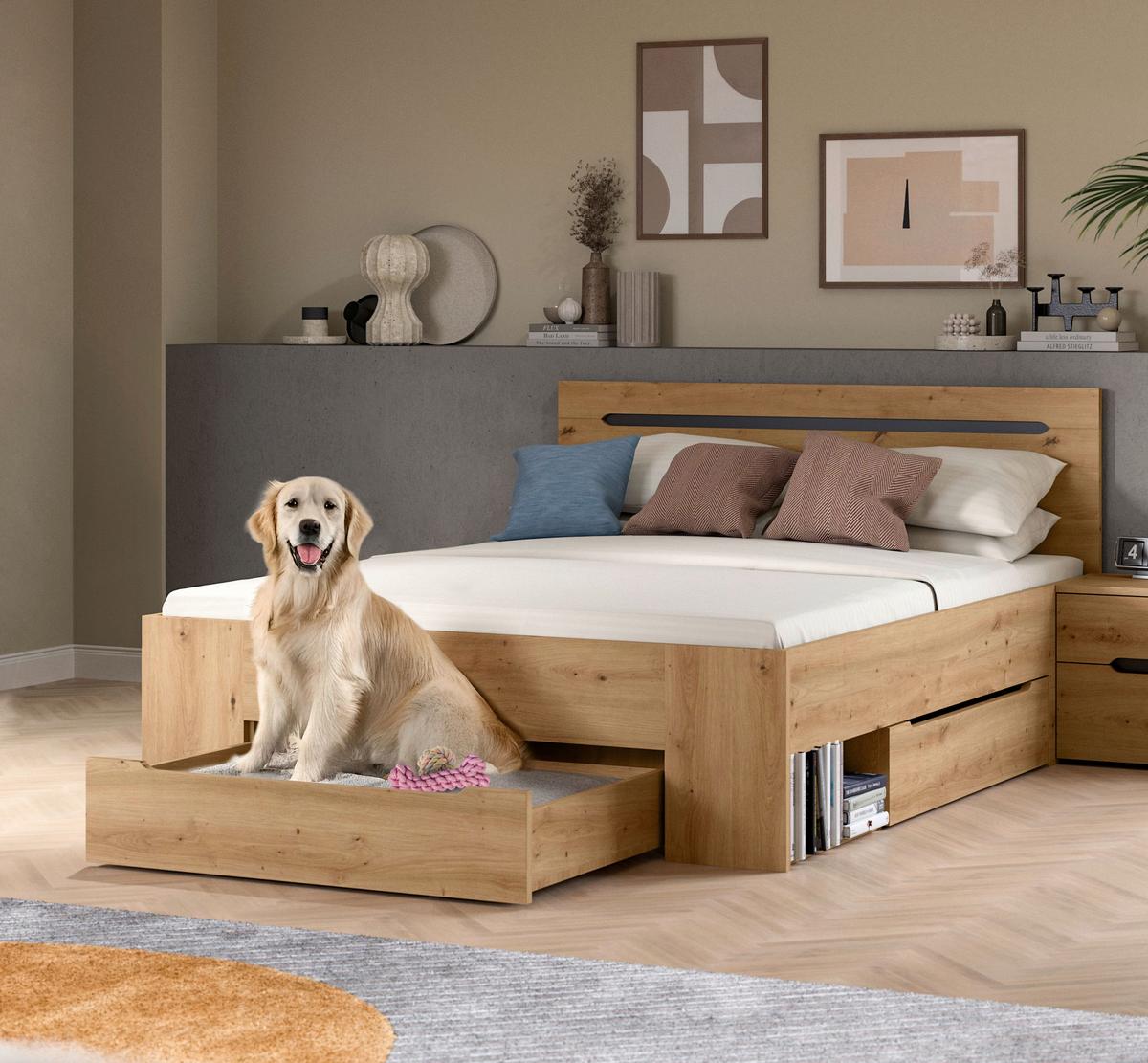 Bett CANU Eiche Artisan ca. 140x200 cm mit Stauraum - Eiche Artisan/Grau, MODERN, Holzwerkstoff (140/200cm) - MID.YOU