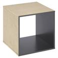 Vstavek Za Regal Aron/space - grafit, Basics, leseni material (35/35/33cm)