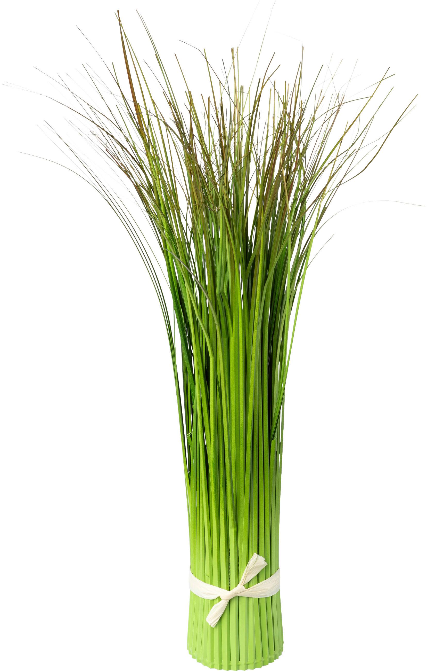 Grasbündl Markus in Grün - Grün, Basics (45cm) - Modern Living
