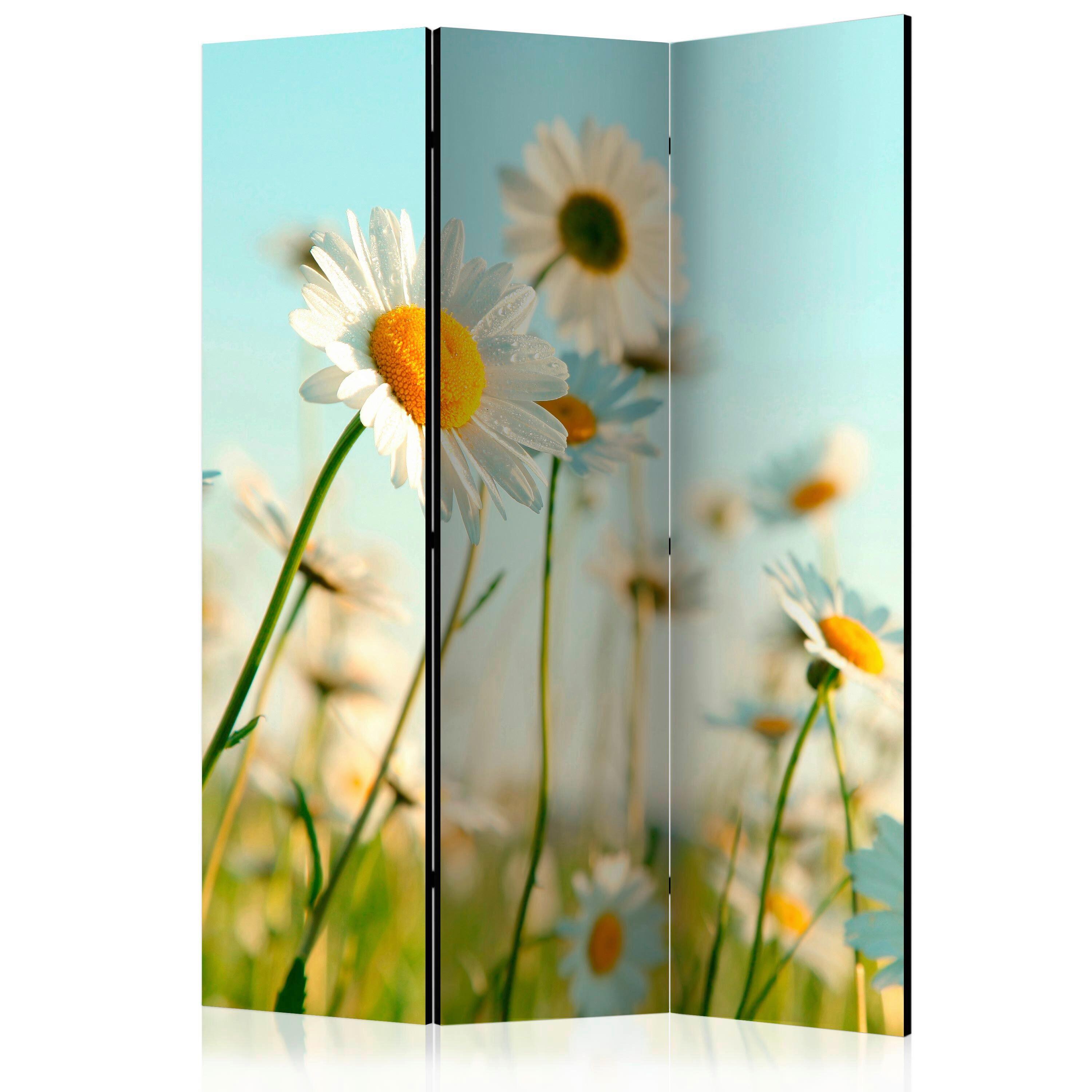 Paravan Daisies, 3-Delni, Dvostranski - svetlo modra/svetlo zelena, Basics, tekstil/les (135/172/3cm) - artgeist