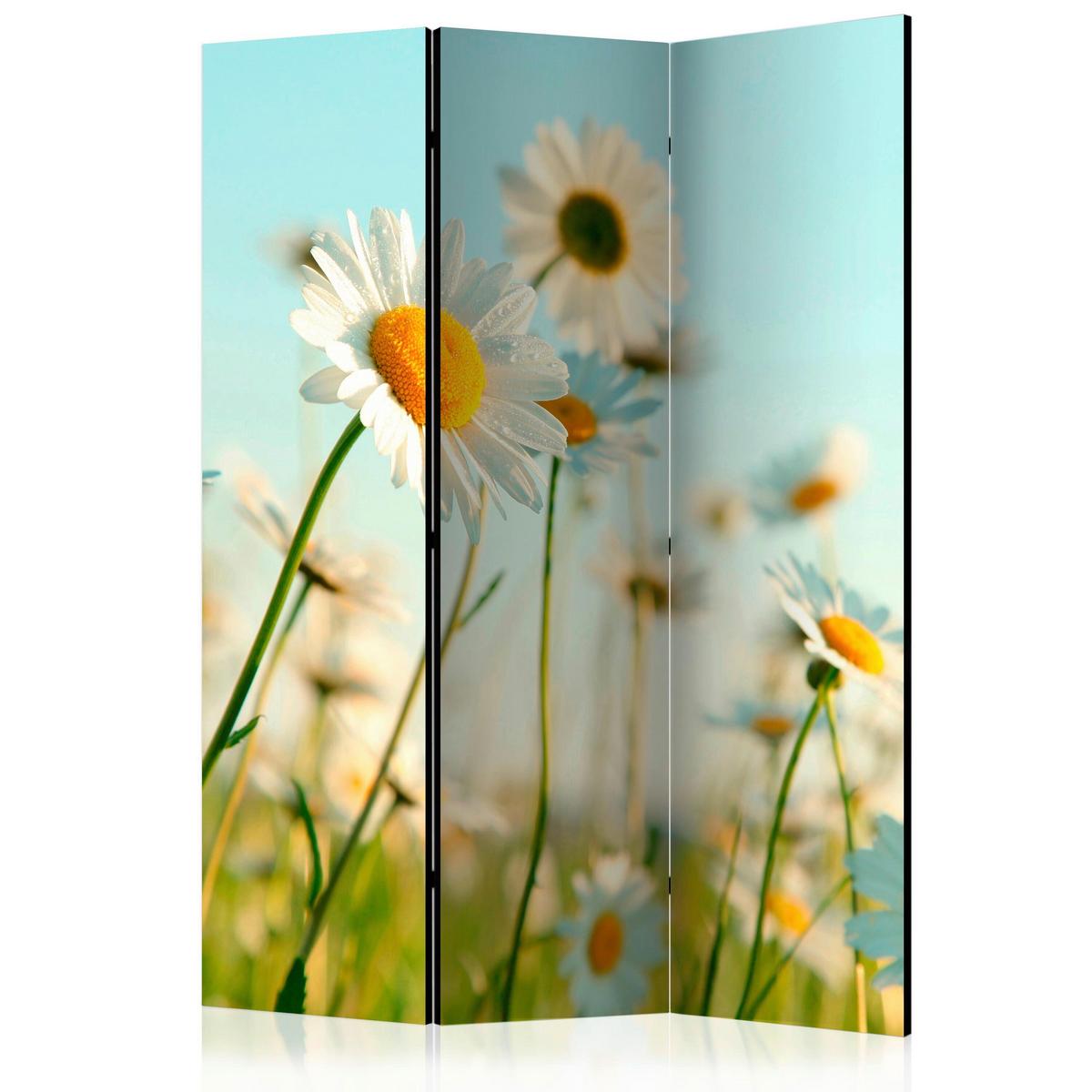 Paravan Daisies, 3-Delni, Dvostranski - svetlo modra/svetlo zelena, Basics, tekstil/les (135/172/3cm) - artgeist