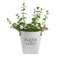 Kaspó Fleur De Paris - Fehér, romantikus/Landhaus, Fém (18,5cm) - Mömax modern living Kaspó Fleur De Paris - Fehér, romantikus/Landhaus, Fém (18,5cm) - Mömax modern living