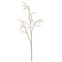 Umetna Rastlina Acalypha I - marelica, Basics, umetna masa (95cm) - Mömax