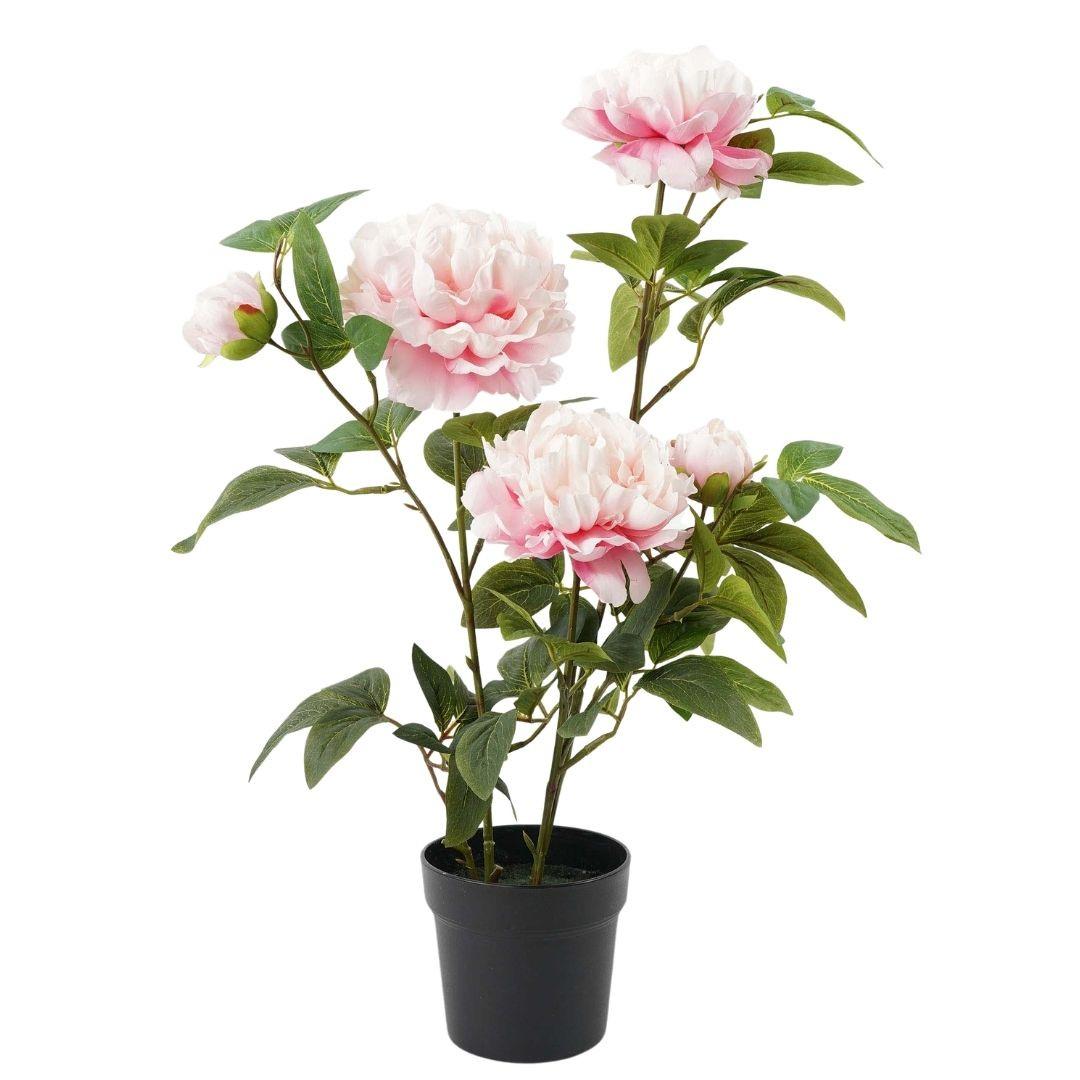 Műnövény Peony - rózsaszín/zöld, műanyag (53/42/68cm)