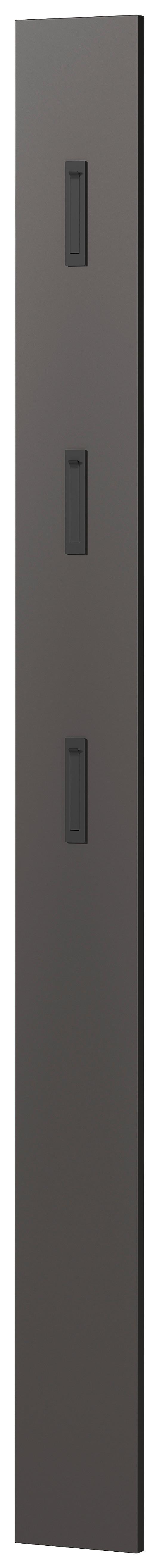 PANEL DO PRZEDPOKOJU CEDUNA - kolor grafitowy, Modern, materiał drewnopochodny (15/170/3cm) - Mömax