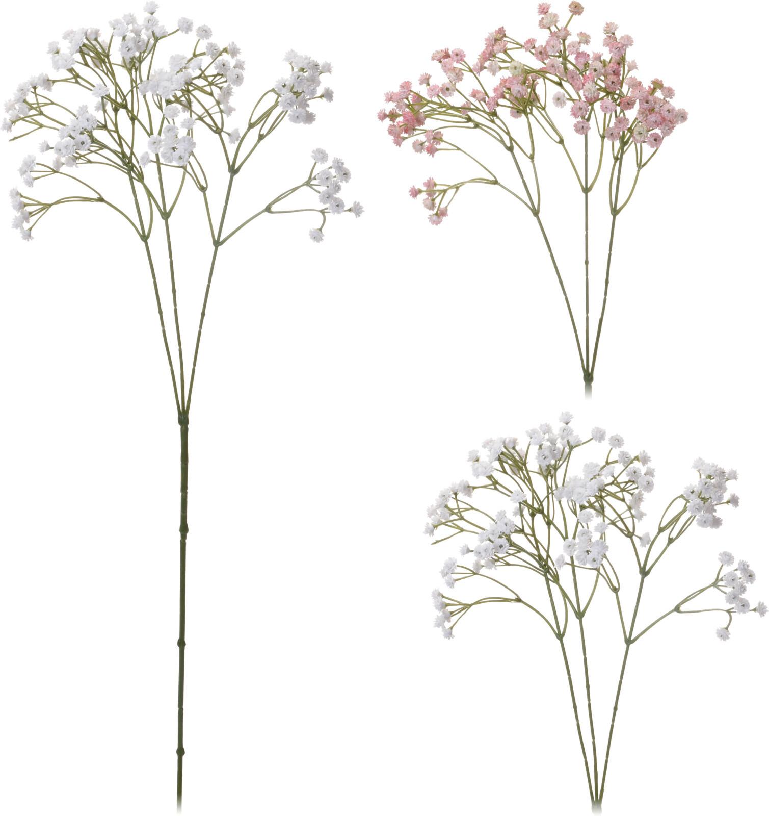 Plantă decorativă Gypsophila - Basics (20cm)