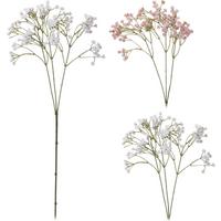 Plantă decorativă Gypsophila - Basics (20cm)