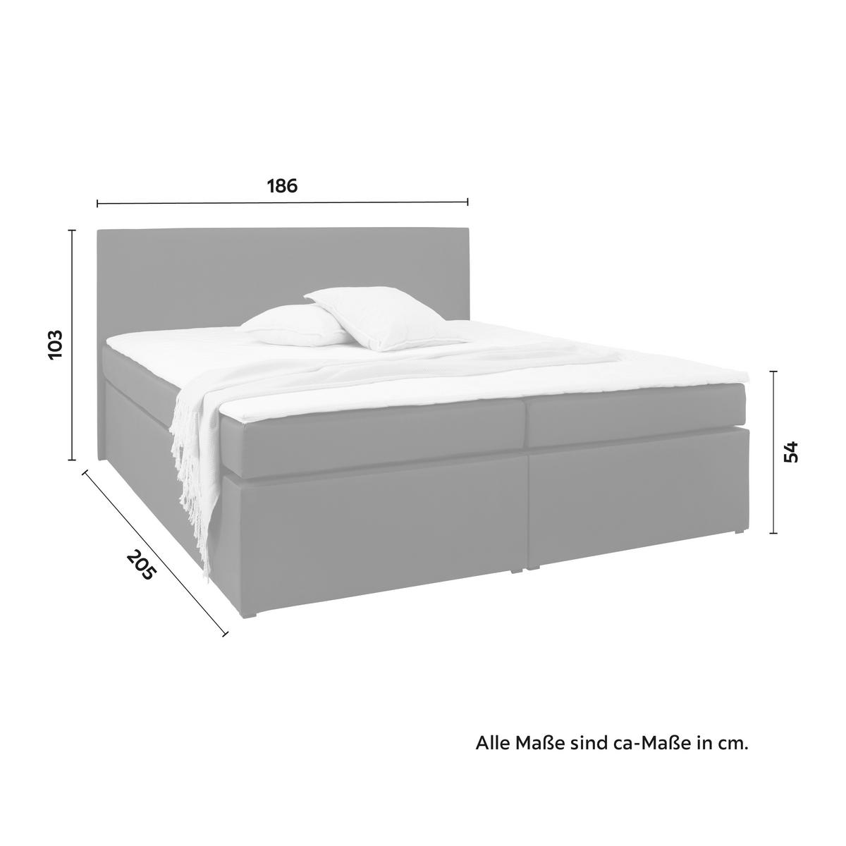 Postelja Z Vzmetnico Lucy - siva/antracit, Moderno, umetna masa/tekstil (180/200cm) - Bessagi Home