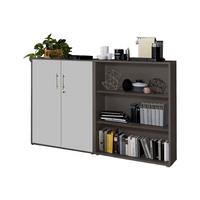 AKTENSCHRANK OFFICE EDITION-SW SET 1 NIEDR. - Anthrazit/Hellgrau, MODERN, Holzwerkstoff (168,8/113,6/33cm) - MID.YOU