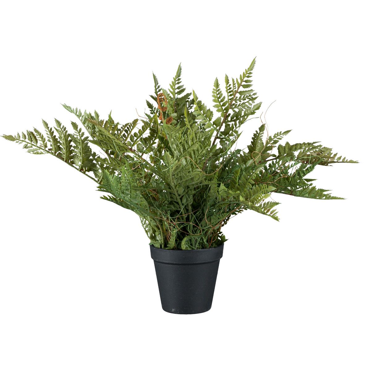 Dekopflanze Farn II in Grün ca. 40 cm - Grün, Basics, Kunststoff (40cm) - Modern Living